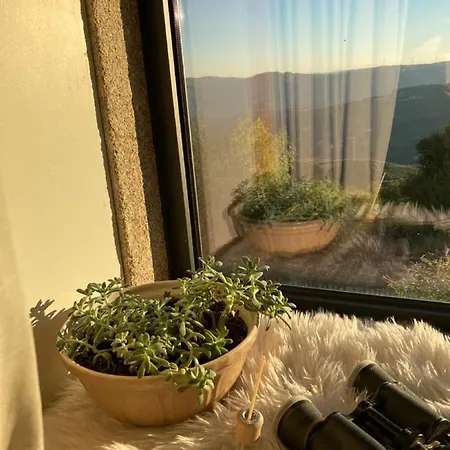 Appartamento The Loft With A View *