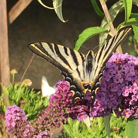 Appartement The Loft With A View Cabeceiras de Basto